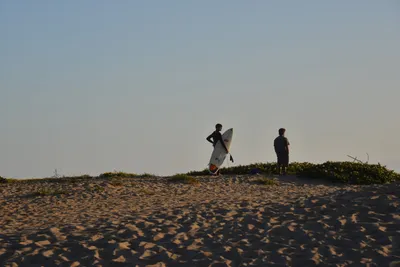 DSC_7237 (Large).JPG